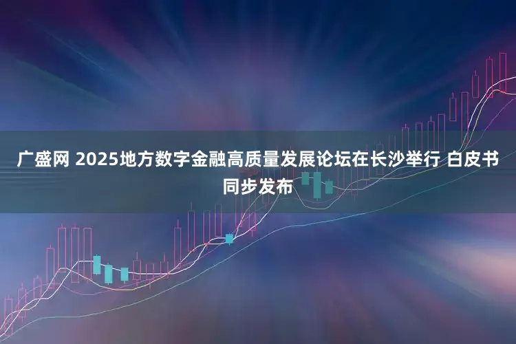 广盛网 2025地方数字金融高质量发展论坛在长沙举行 白皮书同步发布