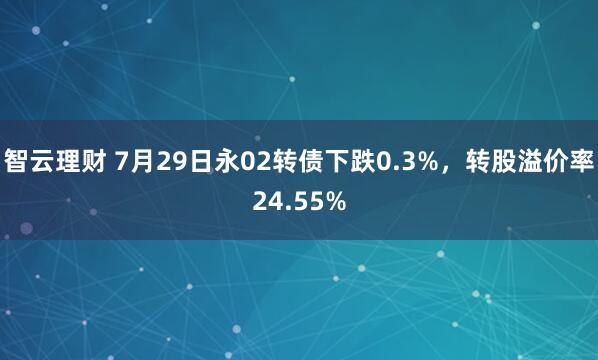 智云理财 7月29日永02转债下跌0.3%，转股溢价率24.55%
